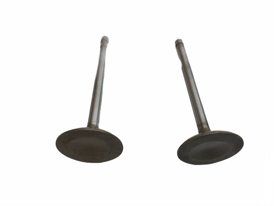 Federal Mogul Engine Intake Exhaust Valve Set V-3329AL NOS