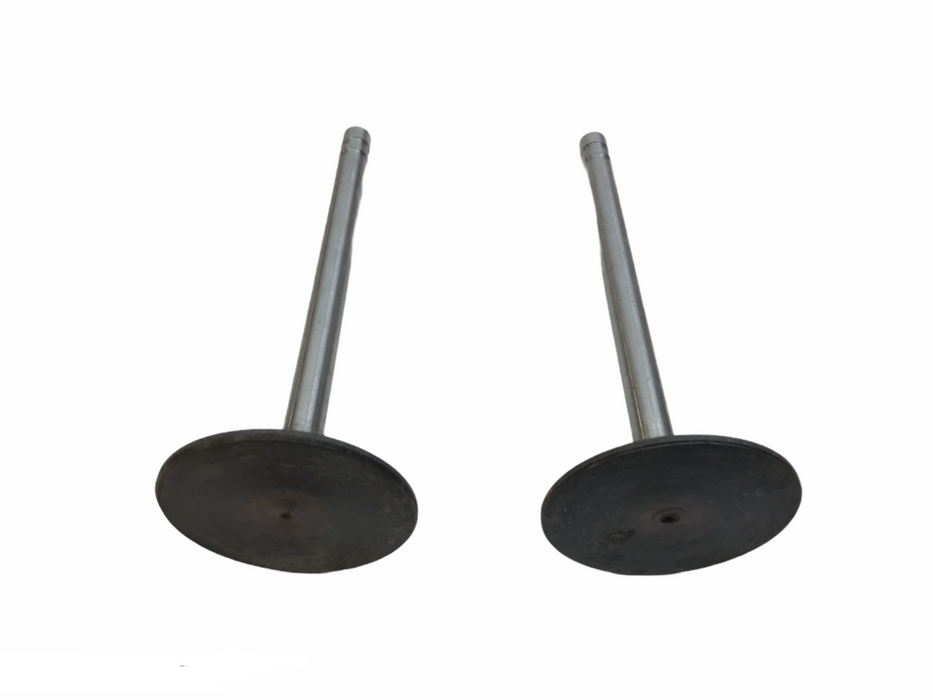 Federal Mogul Engine Intake Valve Set V3625 NOS