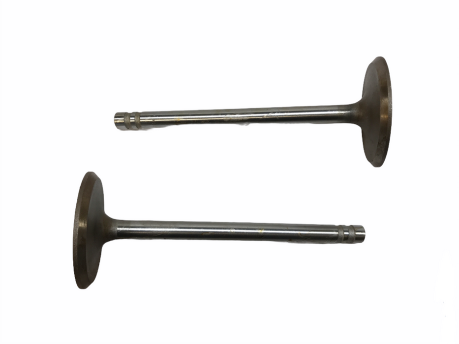 Federal Mogul Engine Intake Valve Set V4232 NOS
