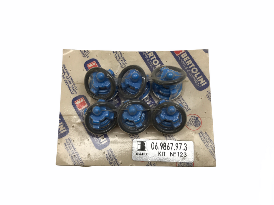 Bertolini Check Valve/O Ring Kit 06.9867.97.3 NOS