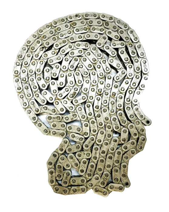 RSC 9' Single Strand Roller Chain w/o Connecting Link 06B NOS