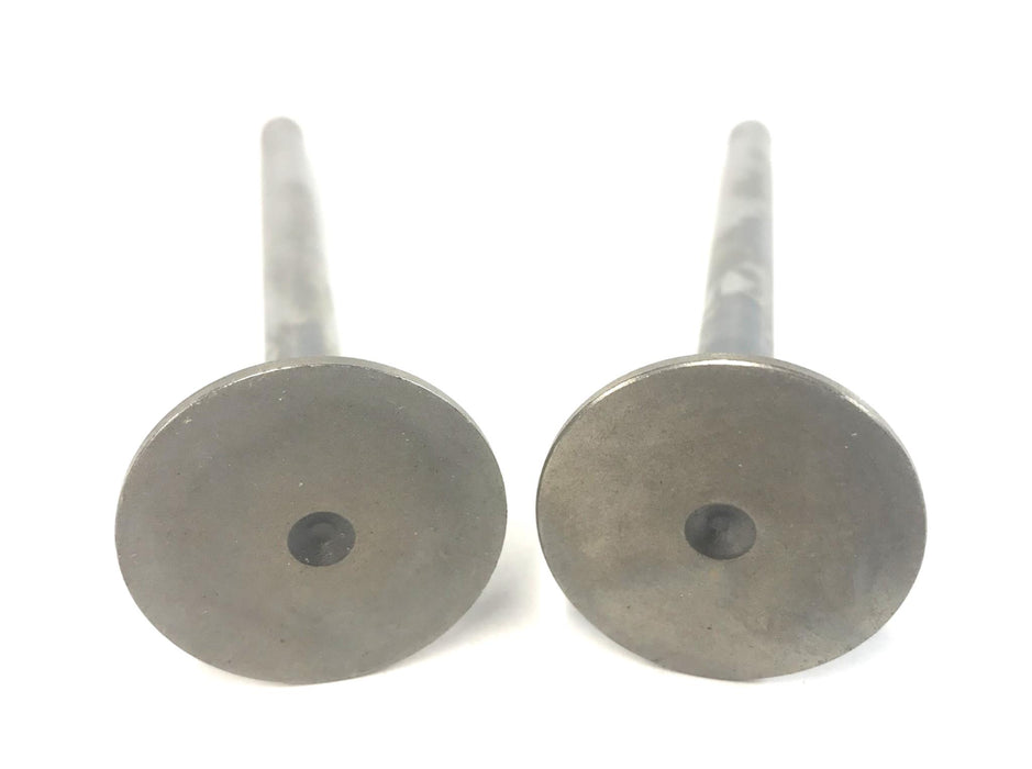Sealed Power Engine Valve Set (2 Pcs) V-2272 STD (2-V-2272 STD) NOS