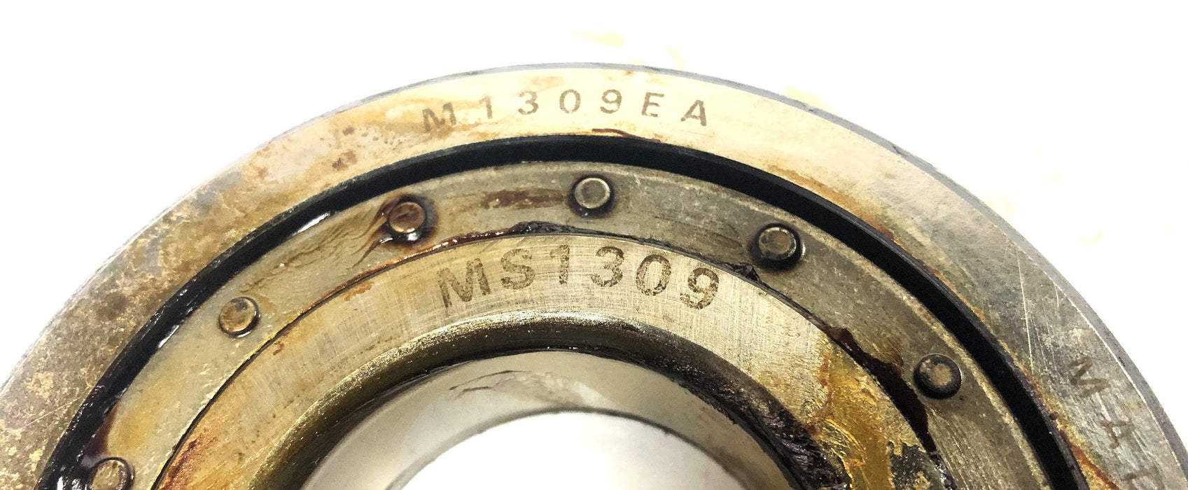 Link-Belt Cylindrical Roller Bearing MSN1309EAX (M1309EA/MS1309) NOS