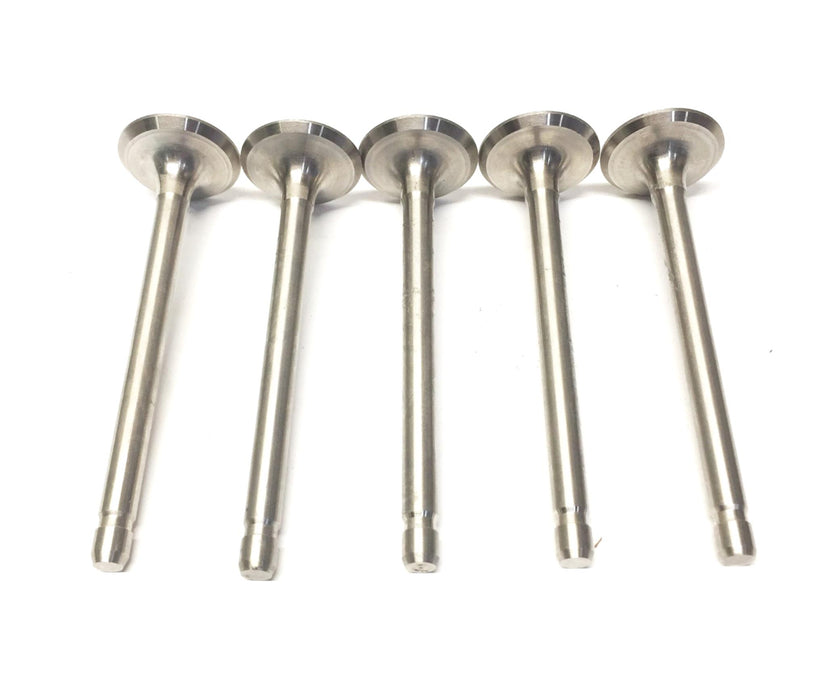 Briggs & Stratton Exhaust Valve 299844 [Lot of 5] NOS