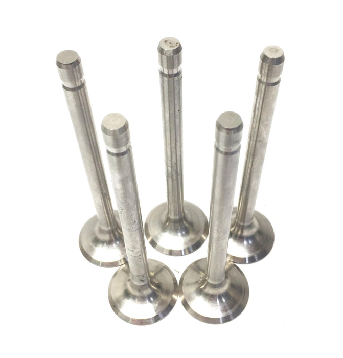 Briggs & Stratton Exhaust Valve 299844 [Lot of 5] NOS