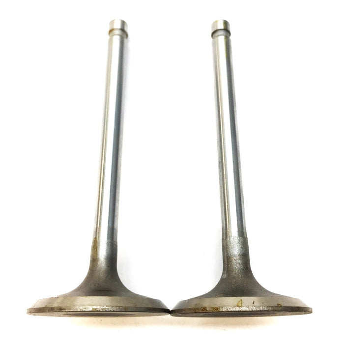 Sealed Power Intake Valve Set (2pcs) V1970 NOS