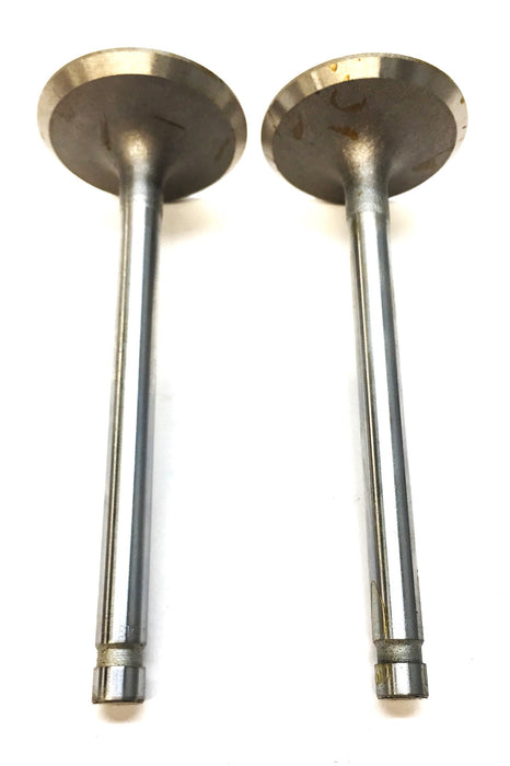 Sealed Power Intake Valve Set (2pcs) V1970 NOS