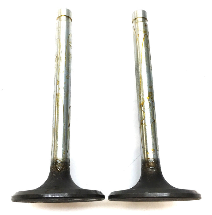 Sealed Power Intake Valve Set (2pcs) V2036 NOS