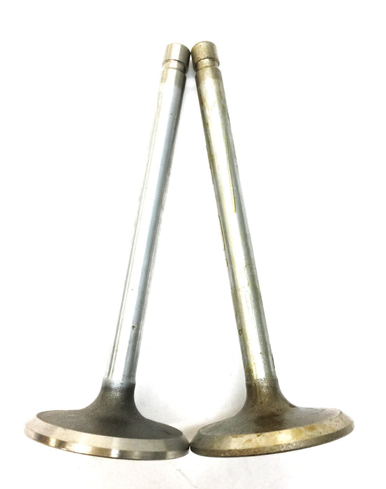 Sealed Power Intake Valve Set (2pcs) V2041 NOS