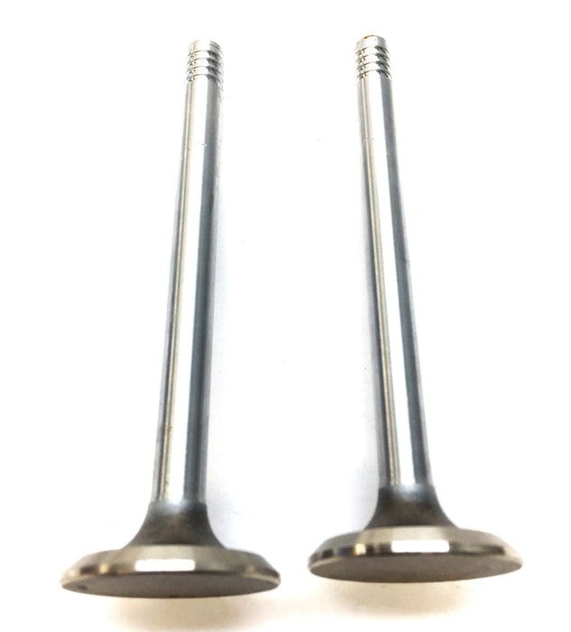 Sealed Power Intake Valve Set (2pcs) V2023K NOS