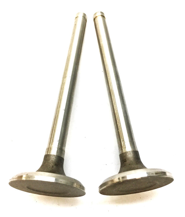 RMC Intake Valve Set V-4106 (2pcs) NOS