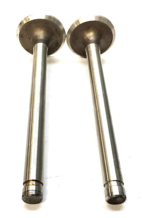 RMC Intake Valve Set V-4106 (2pcs) NOS