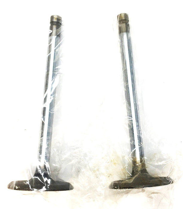 RMC Engine Intake Valve Set (2pcs) X-4000 (V1861) NOS