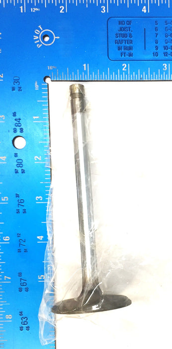 RMC Engine Intake Valve Set (2pcs) X-4000 (V1861) NOS