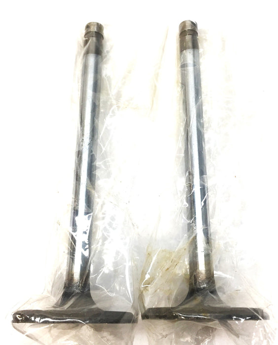 RMC Engine Intake Valve Set (2pcs) X-4000 (V1861) NOS