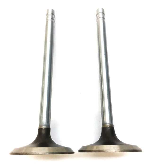Elgin Quality HY-Chrome Intake Valve Set (2pcs) S2638 (V1825) NOS