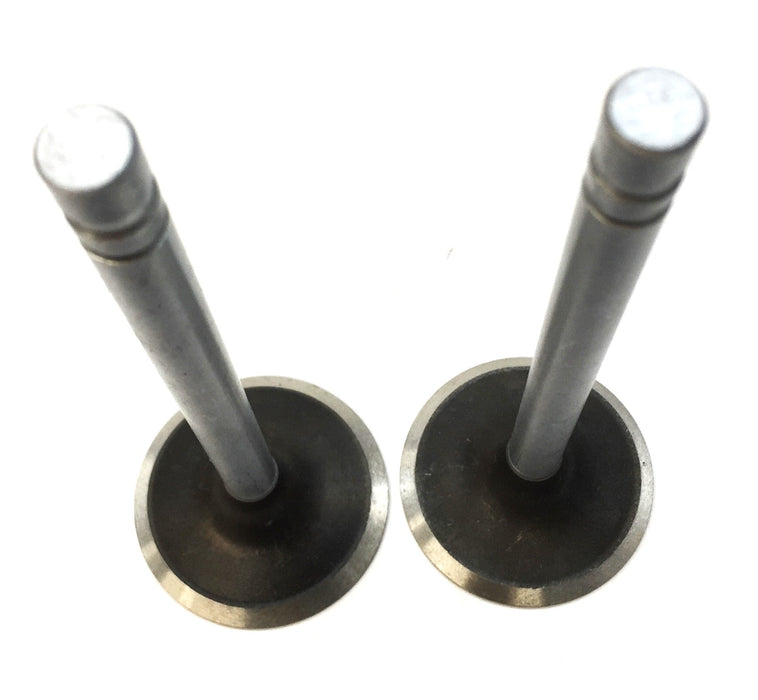 Elgin Quality HY-Chrome Intake Valve Set (2pcs) S2638 (V1825) NOS