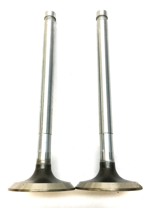 Sealed Power Engine Intake Valve Set (2pcs) V2019 NOS