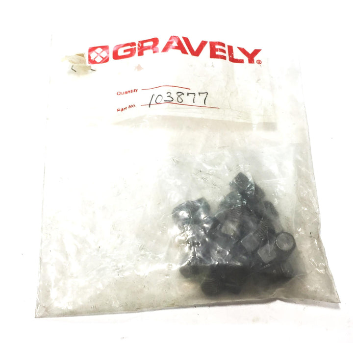 Gravely Pipe Plug 103877 (07023700) NOS