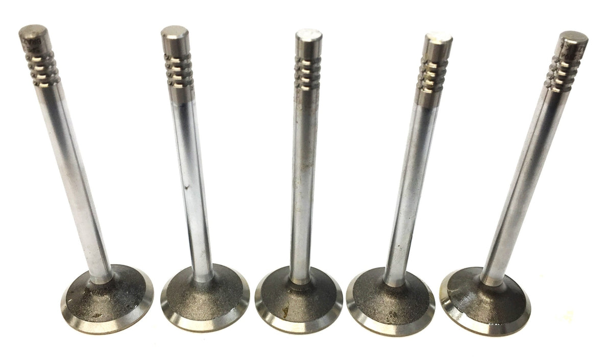 Sealed Power Engine Intake Valve V-2194 [Lot of 5] NOS