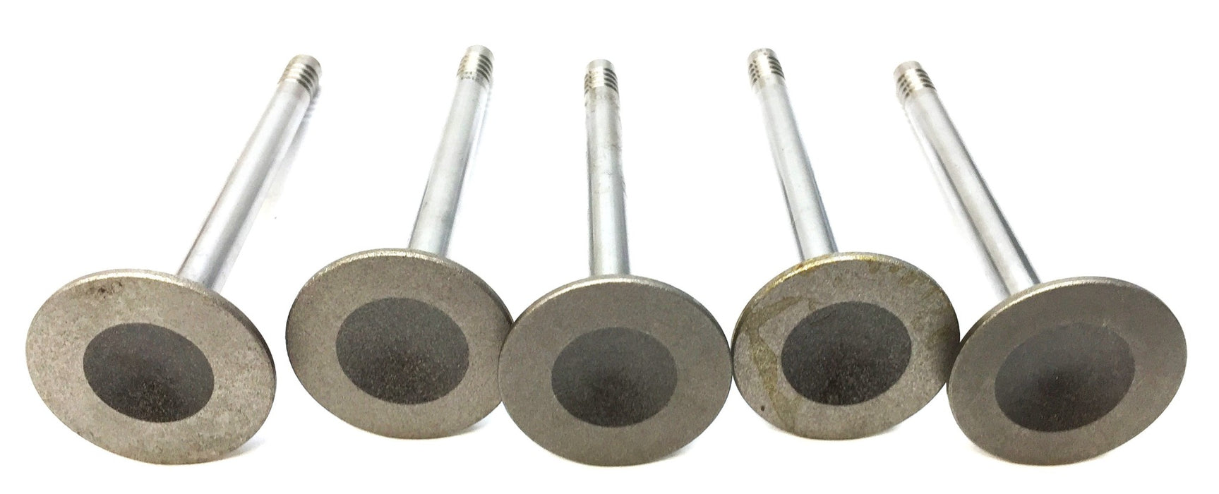 Sealed Power Engine Intake Valve V-2194 [Lot of 5] NOS