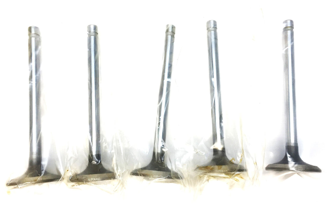 Sealed Power Engine Intake Valve V-2040 [Lot of 5] NOS