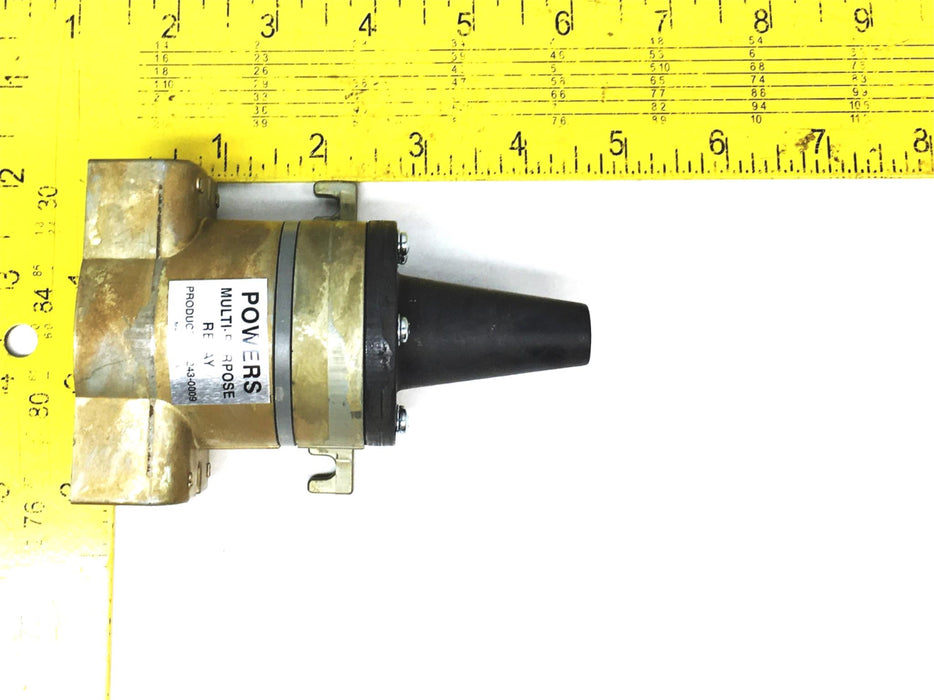 Siemens Power's Controls Multi-Purpose Relay RL243 NOS