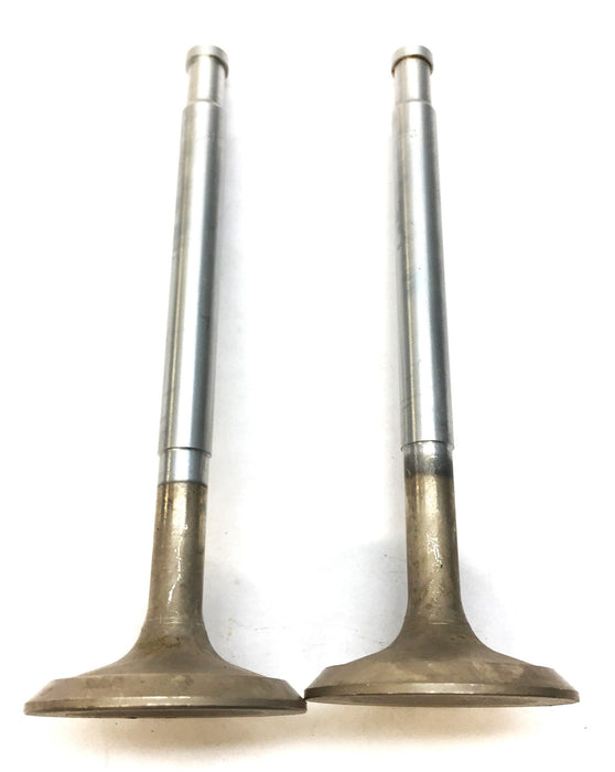Sealed Power Engine Intake Valve Set (2pcs) 2031 NOS