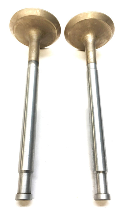 Sealed Power Engine Intake Valve Set (2pcs) 2031 NOS