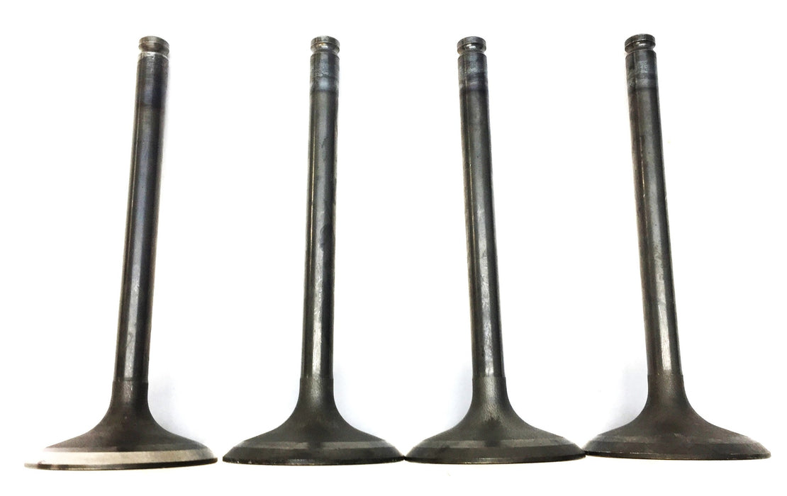 Sealed Power Engine Valve Set (2pcs) V-2331 [Lot of 2] NOS