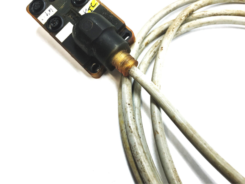 Murr Elektronik 12 Foot 4 Pole Molded Cable 8000-84410-3330500 USED