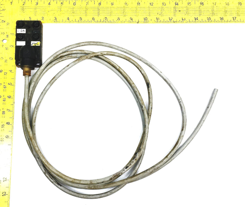 Murr Elektronik 12 Foot 4 Pole Molded Cable 8000-84410-3330500 USED