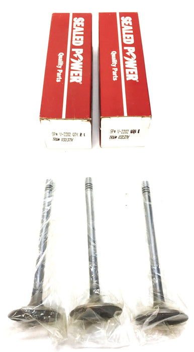 Sealed Power Engine Intake Valve V-2202 [Lot of 3] NOS
