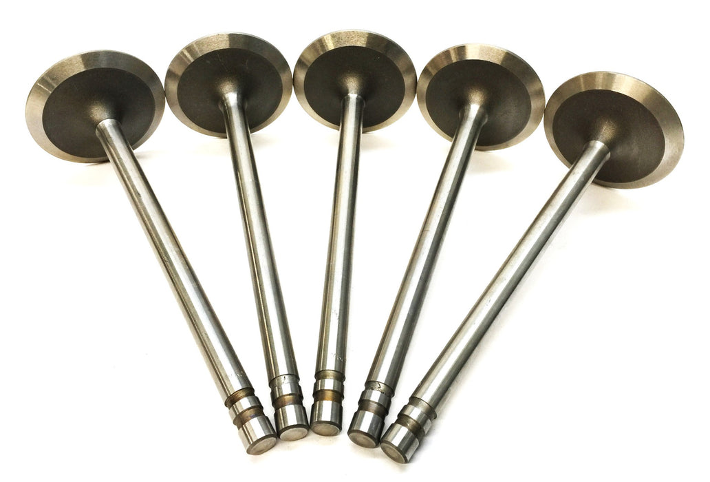 TRW Engine Intake Valve V2329X (V1561) [Lot of 5] NOS
