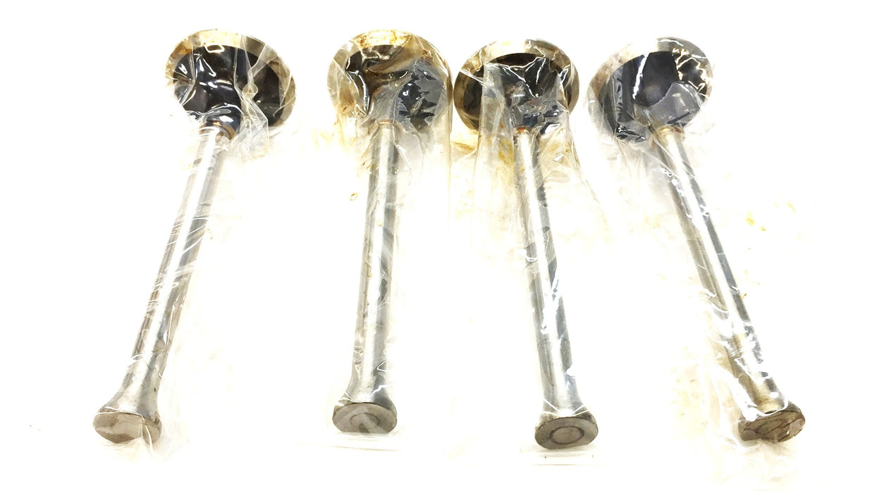 RMC Engine Intake Valve Set (2pcs) X-1346 (S950) [Lot of 2] NOS