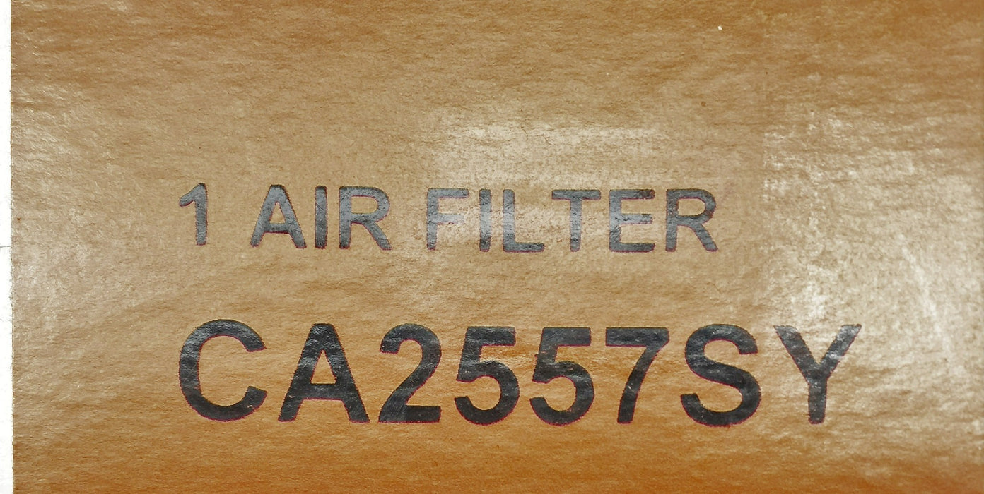 FRAM Inner Air Filter CA2557SY NOS