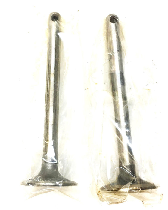 TRW Engine Intake Exhaust Valve Set (2pcs) V-1019 (V3963) NOS