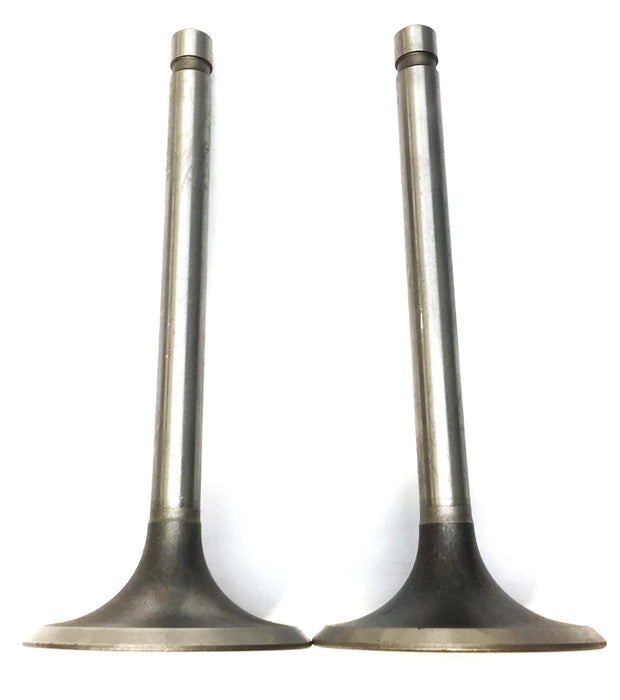 Sealed Power Engine Intake Exhaust Valve Set (2pcs) V1995 NOS