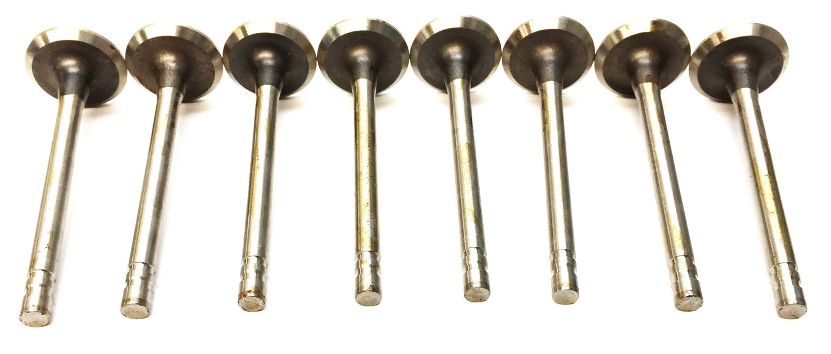 Sealed Power Engine Intake Valve Set (2pcs) V1199 (S2090) [Lot of 4] NOS