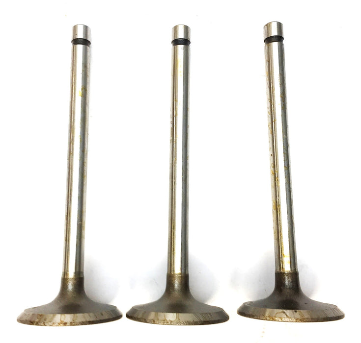 Sealed Power Engine Intake Valve V1767 [Lot of 3] NOS