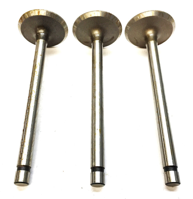 Sealed Power Engine Intake Valve V1767 [Lot of 3] NOS