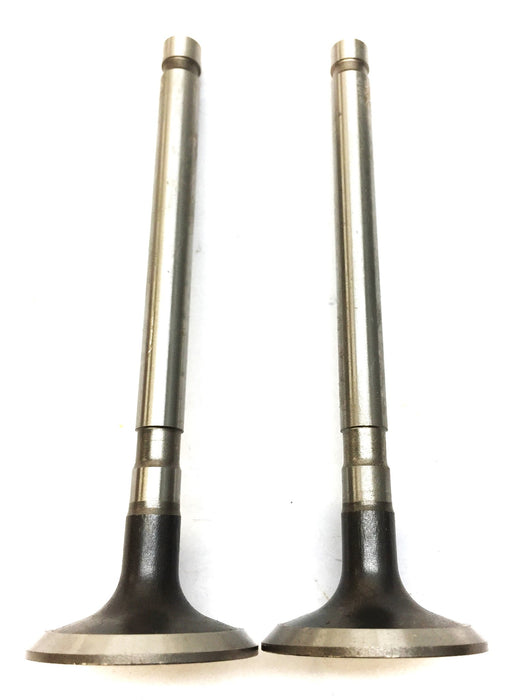 Sealed Power Engine Intake Valve Set (2pcs) V1710 NOS