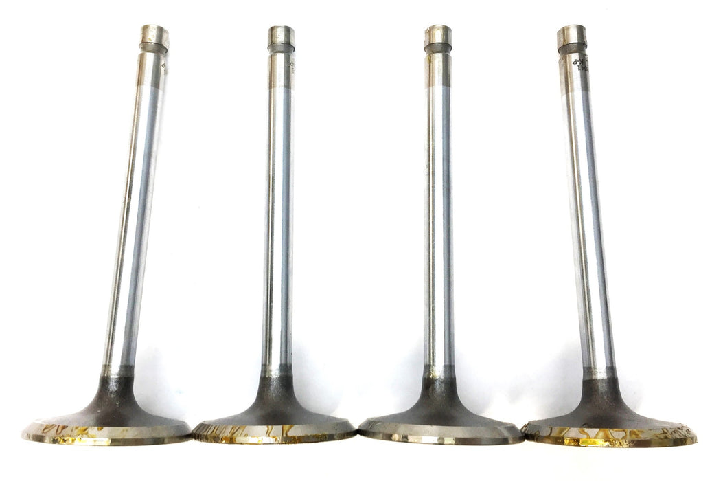 Sealed Power Engine Intake Valve V2041 [Lot of 4] NOS