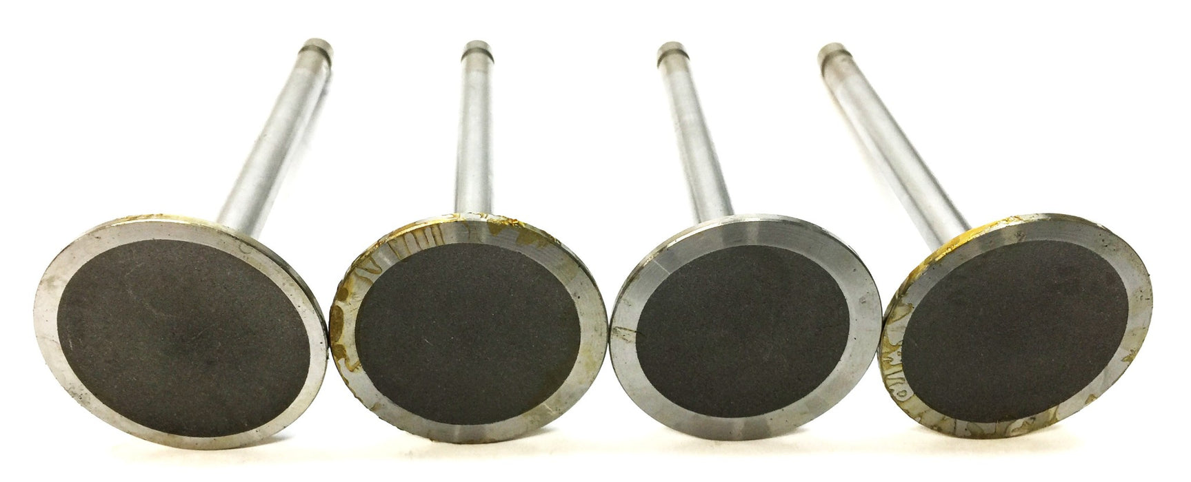 Sealed Power Engine Intake Valve V2041 [Lot of 4] NOS