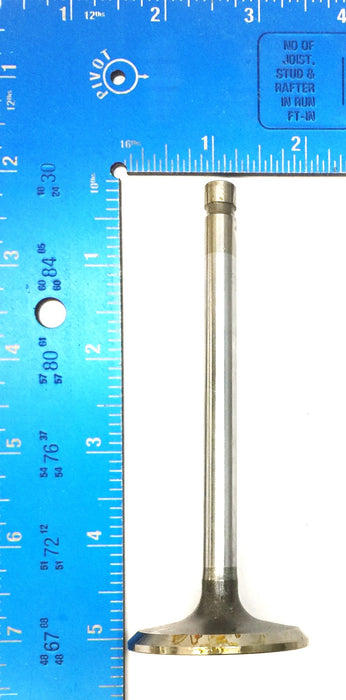 Sealed Power Engine Intake Valve V2041 [Lot of 4] NOS
