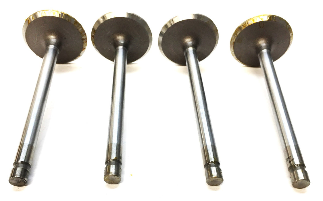 Sealed Power Engine Intake Valve V2041 [Lot of 4] NOS