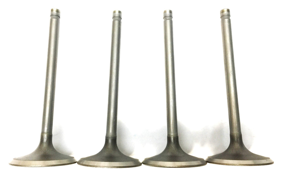 Sealed Power Engine Intake Valve V-2142 [Lot of 4] NOS