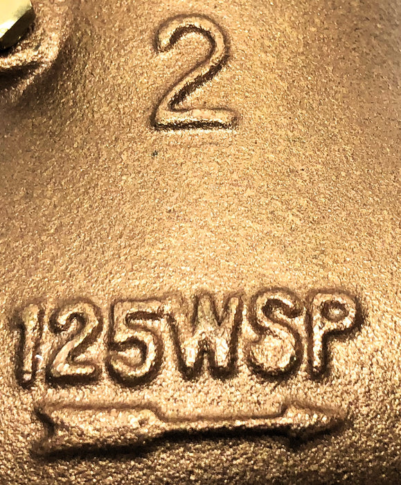 WATTS 2" Brass Swing Check Valve 125WSP NOS