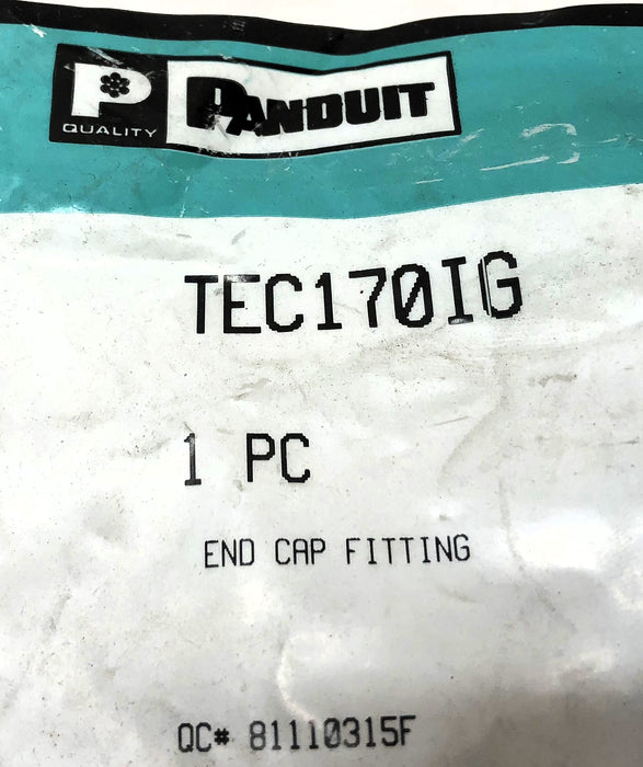 Panduit Surface Raceway End Cap Fitting TEC170 (TEC170IG) [Lot of 2] NOS