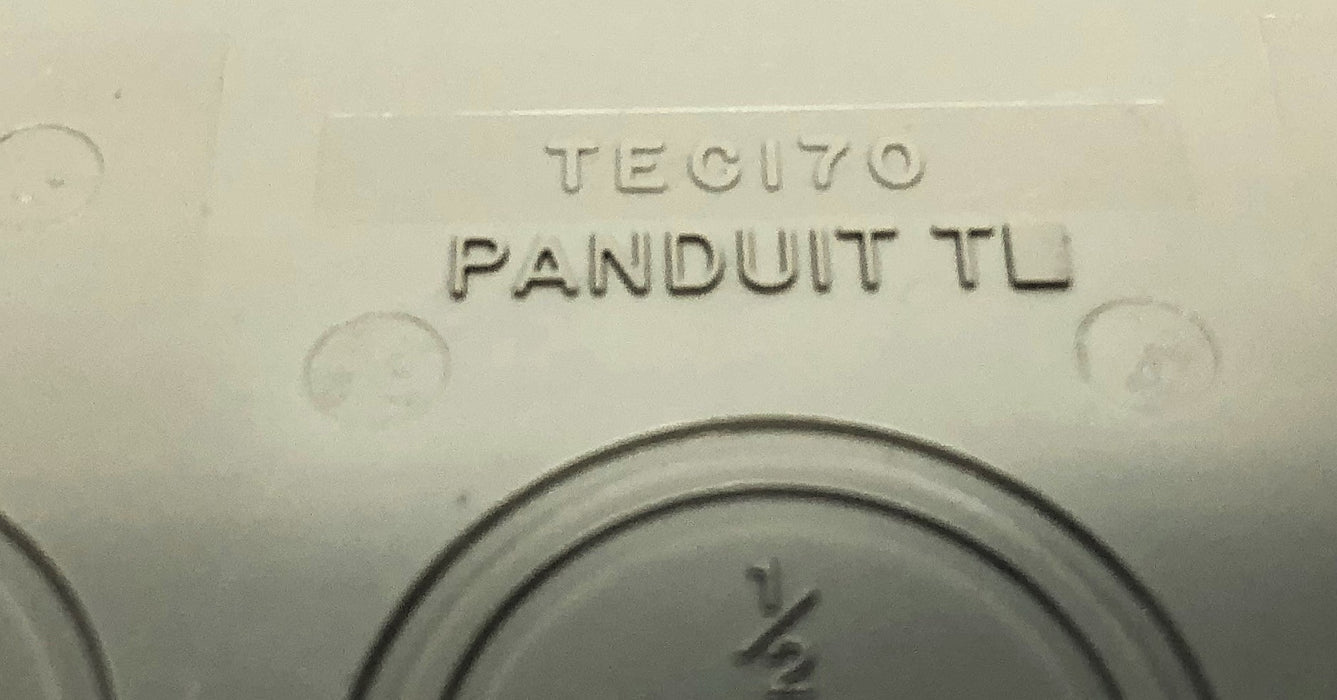 Panduit Surface Raceway End Cap Fitting TEC170 (TEC170IG) [Lot of 2] NOS